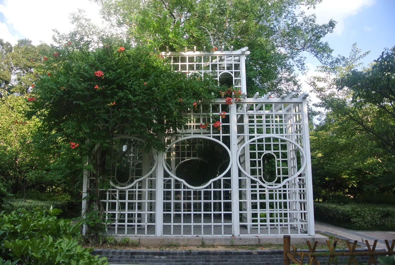 中山公园现场照片 9