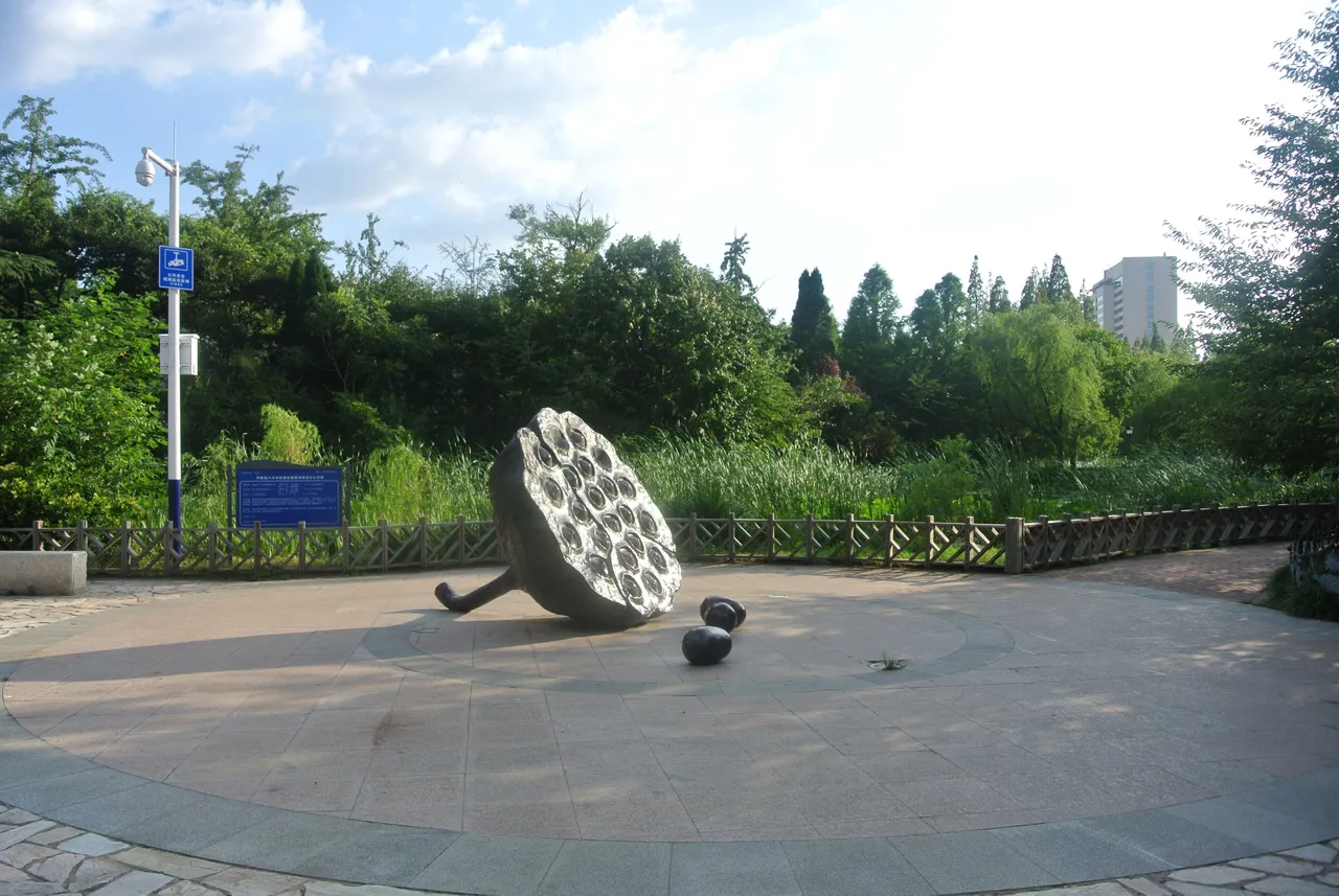 中山公园现场照片 2
