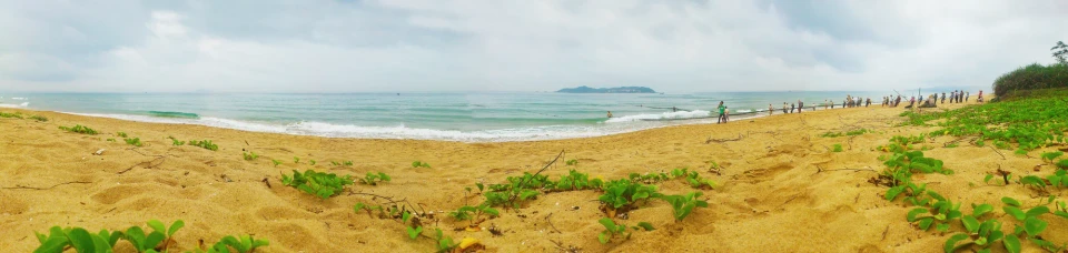 海棠湾现场照片 8
