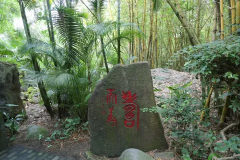 呀诺达现场照片 13