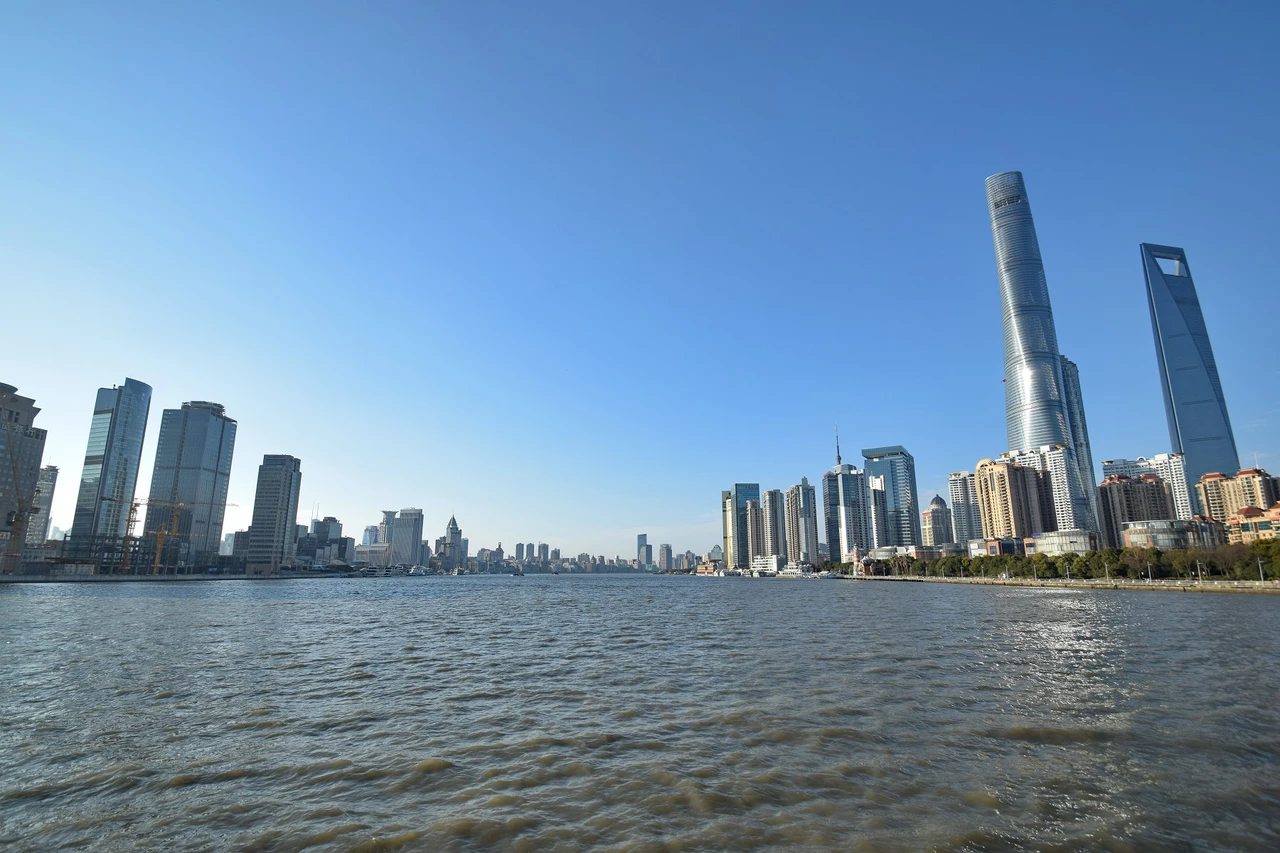 黄浦江游览现场照片 5