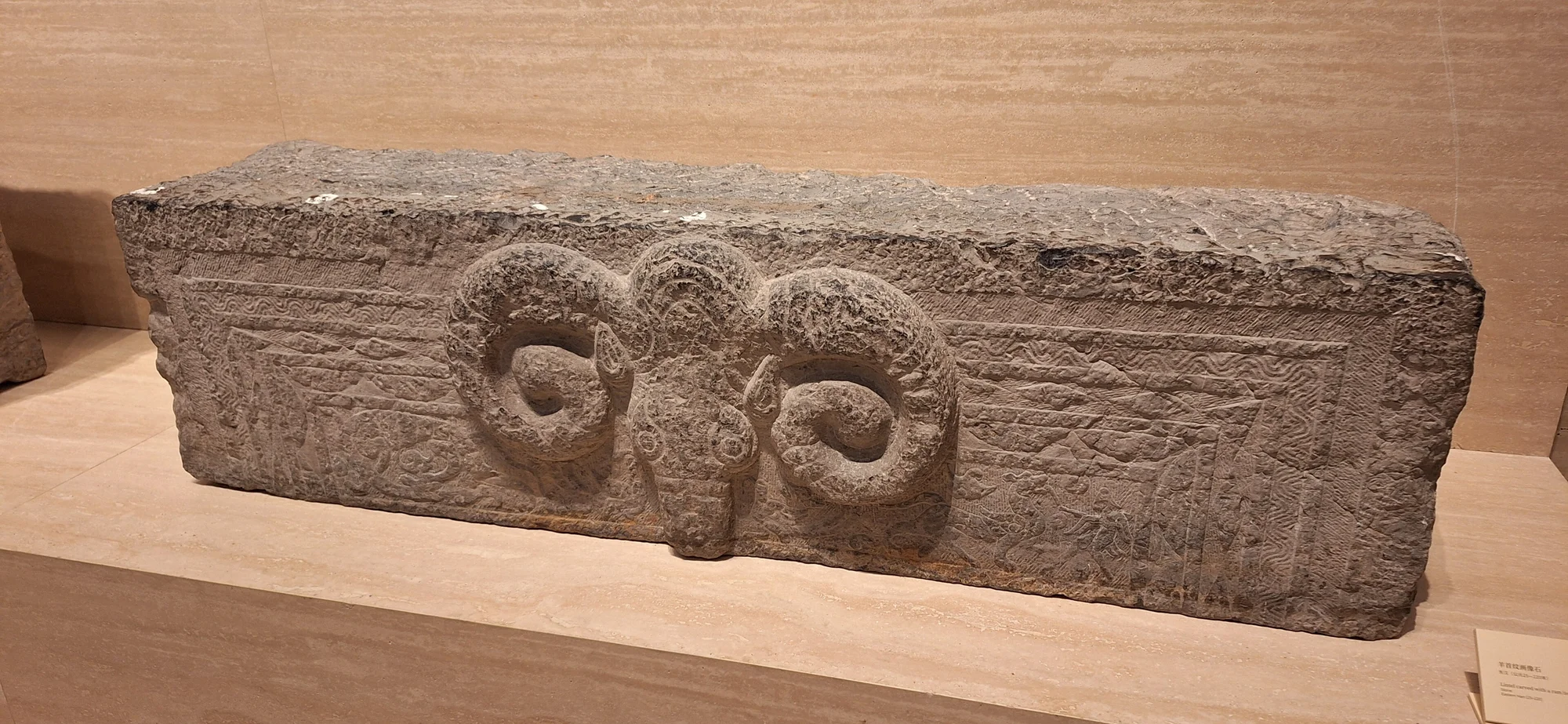 On-site photo 7 of Shang Hai museum Dong Guan