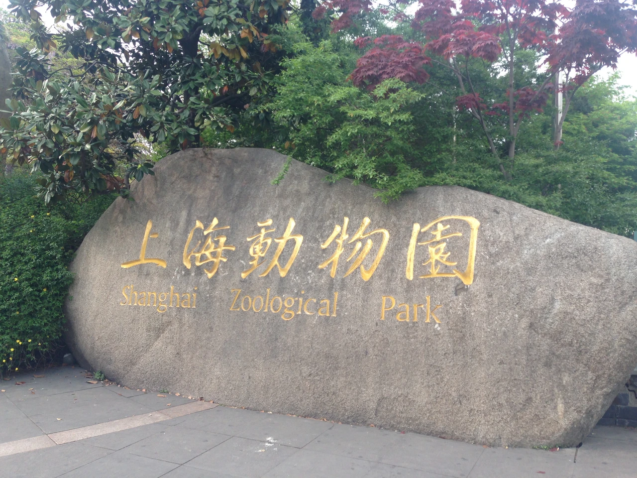 上海动物园现场照片 10