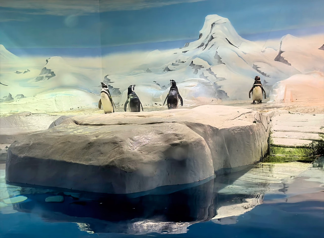 上海海洋水族馆现场照片 3