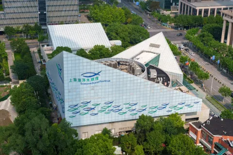上海海洋水族馆现场照片 12