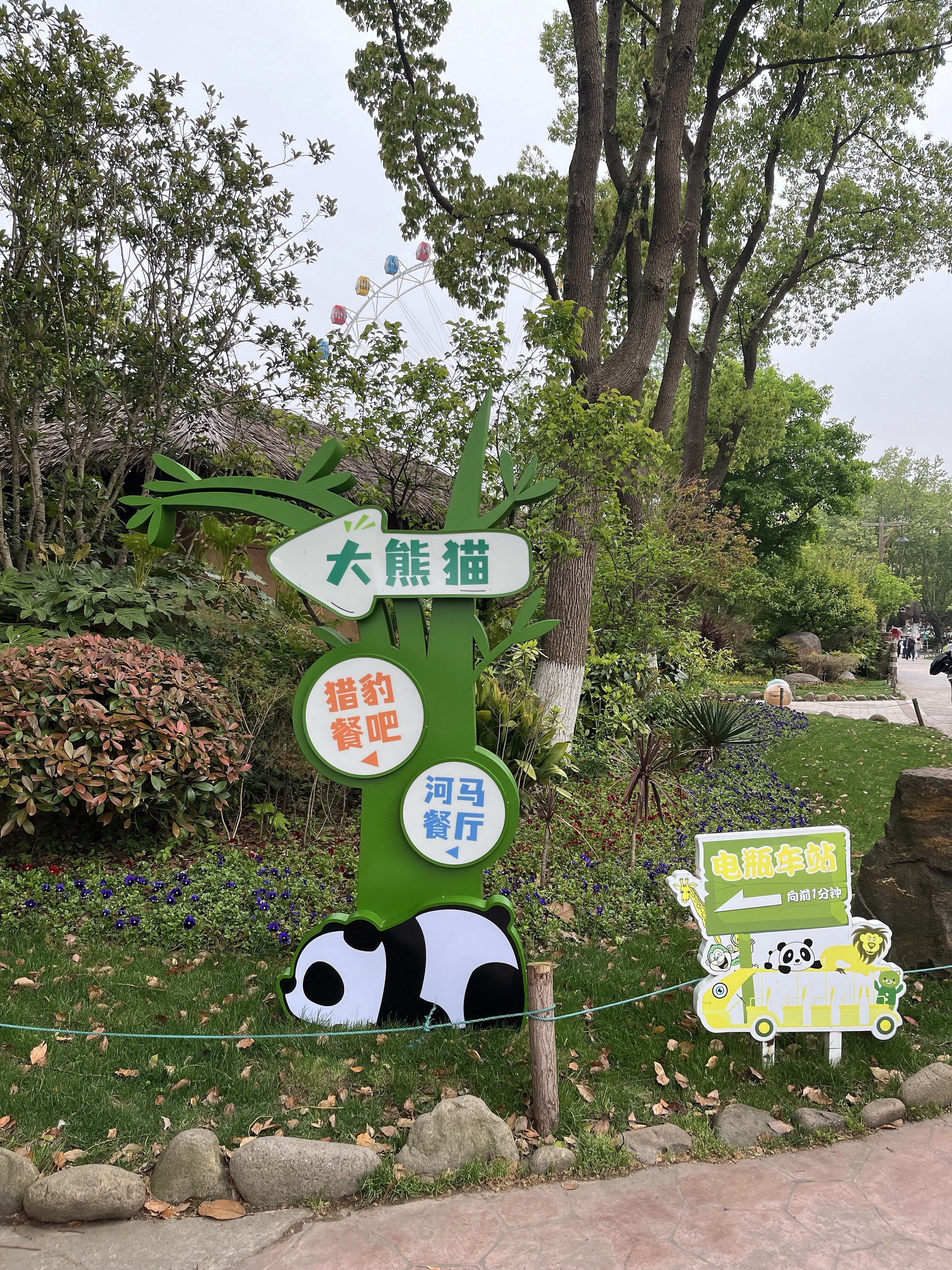 上海野生动物园现场照片 13