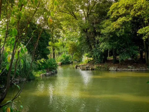 上海植物园现场照片 9