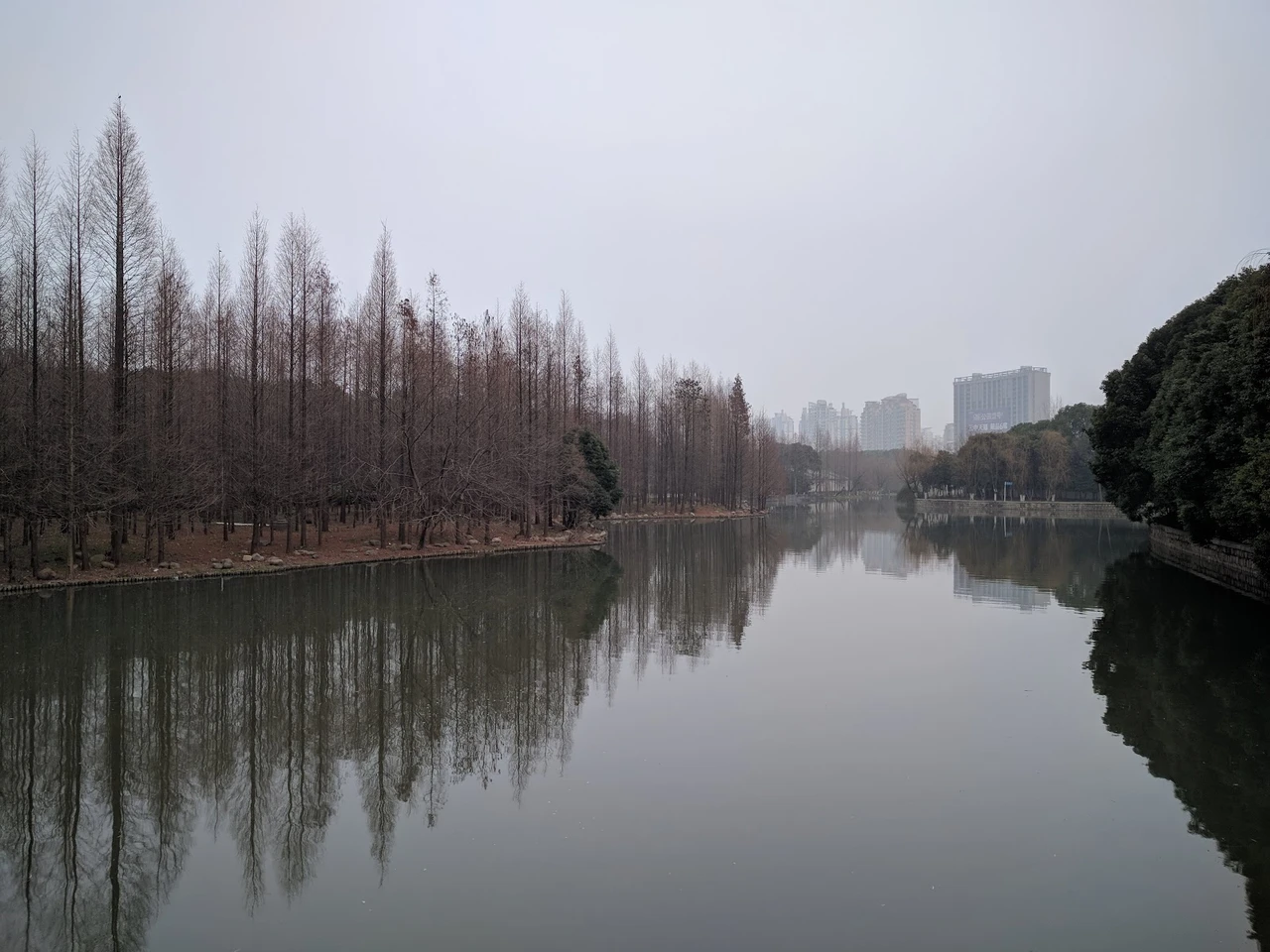 世纪公园现场照片 9