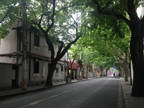 武康路现场照片 9