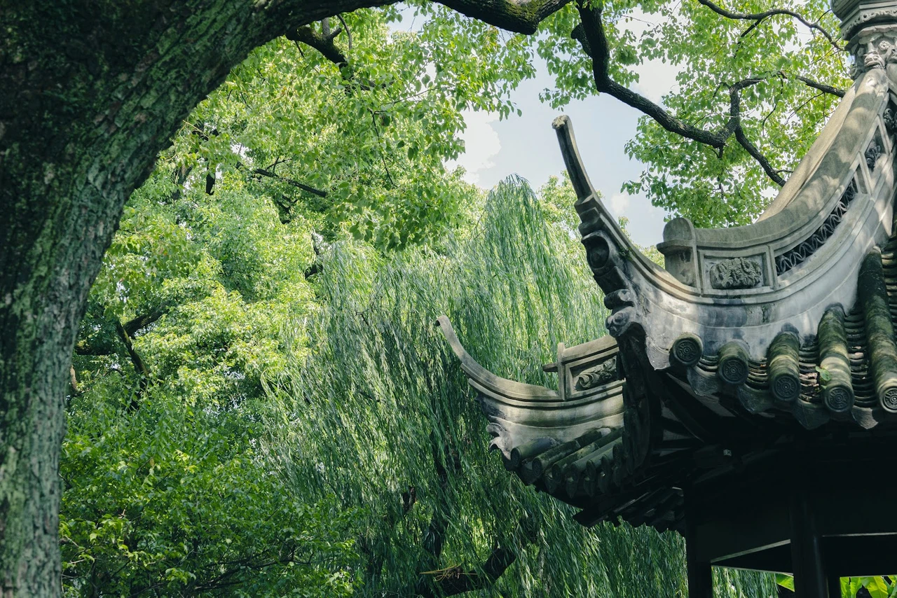 On-site photo 2 of Yu Yuan