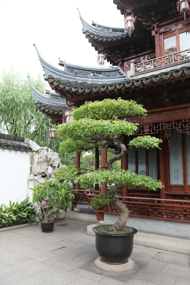 On-site photo 9 of Yu Yuan