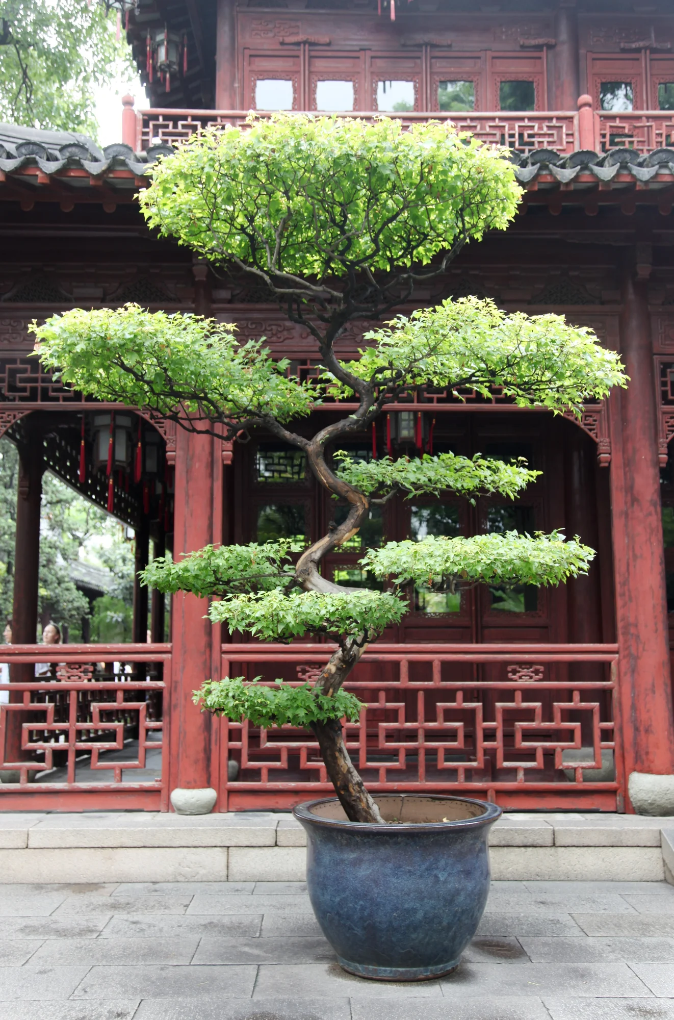 On-site photo 10 of Yu Yuan