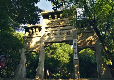 青年公园现场照片 5