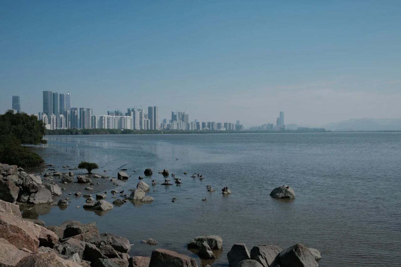 On-site photo 2 of Shen Zhen Wan Park