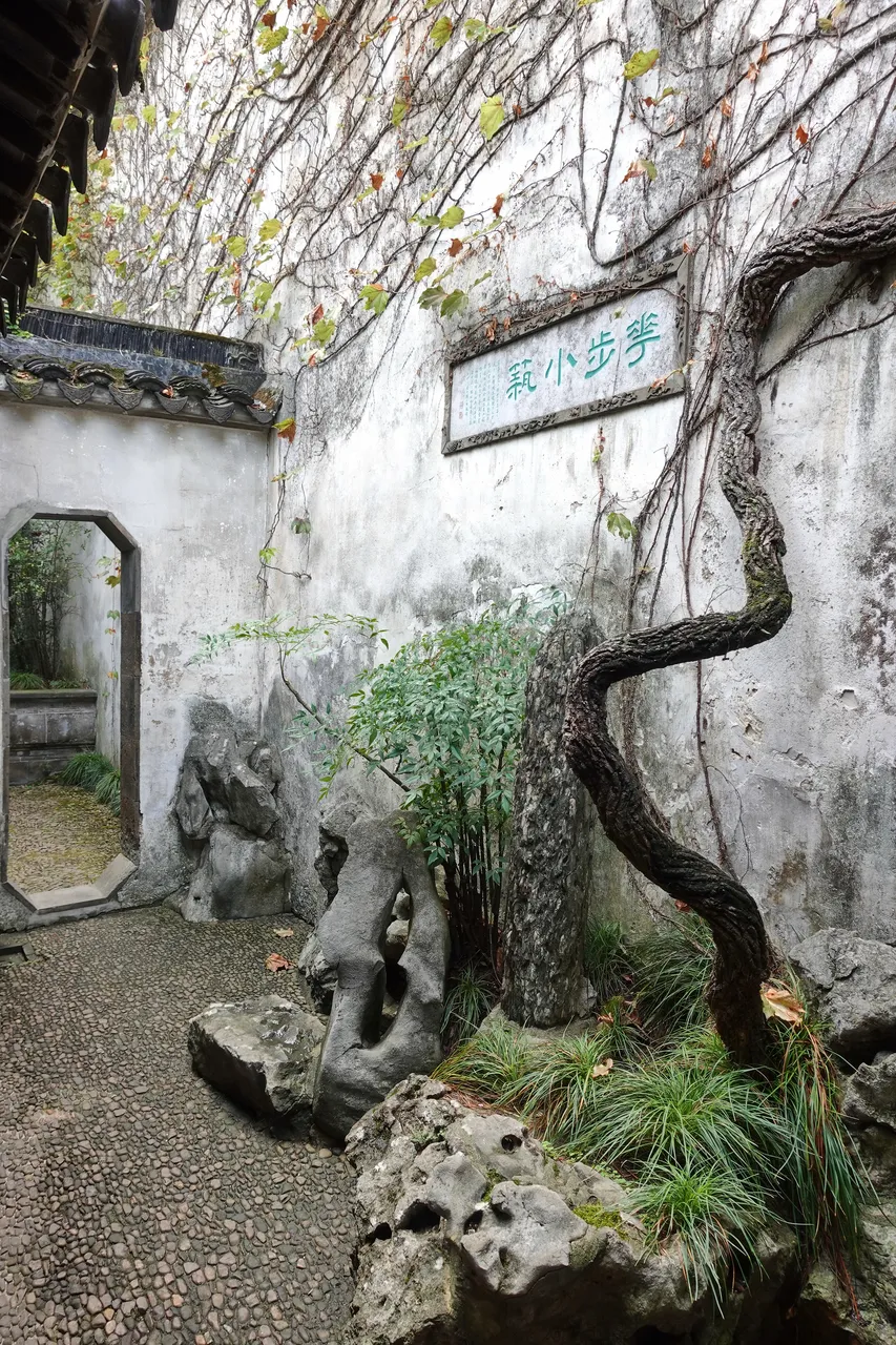 留园现场照片 5
