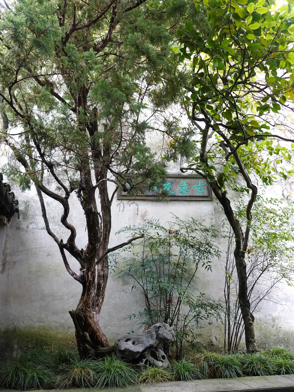 留园现场照片 2