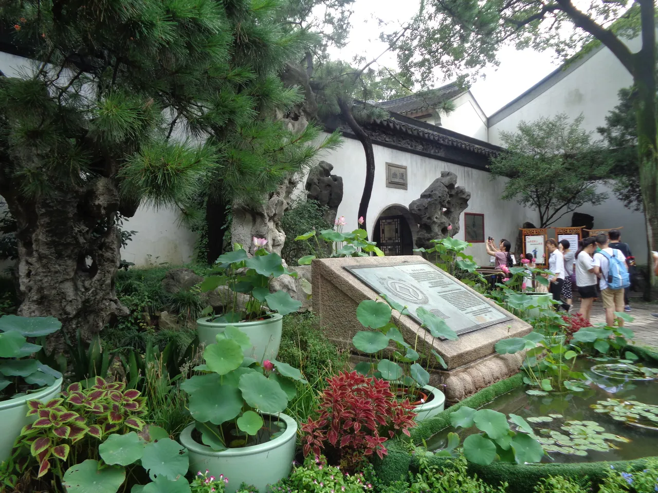 On-site photo 5 of Zhuo Zheng Yuan