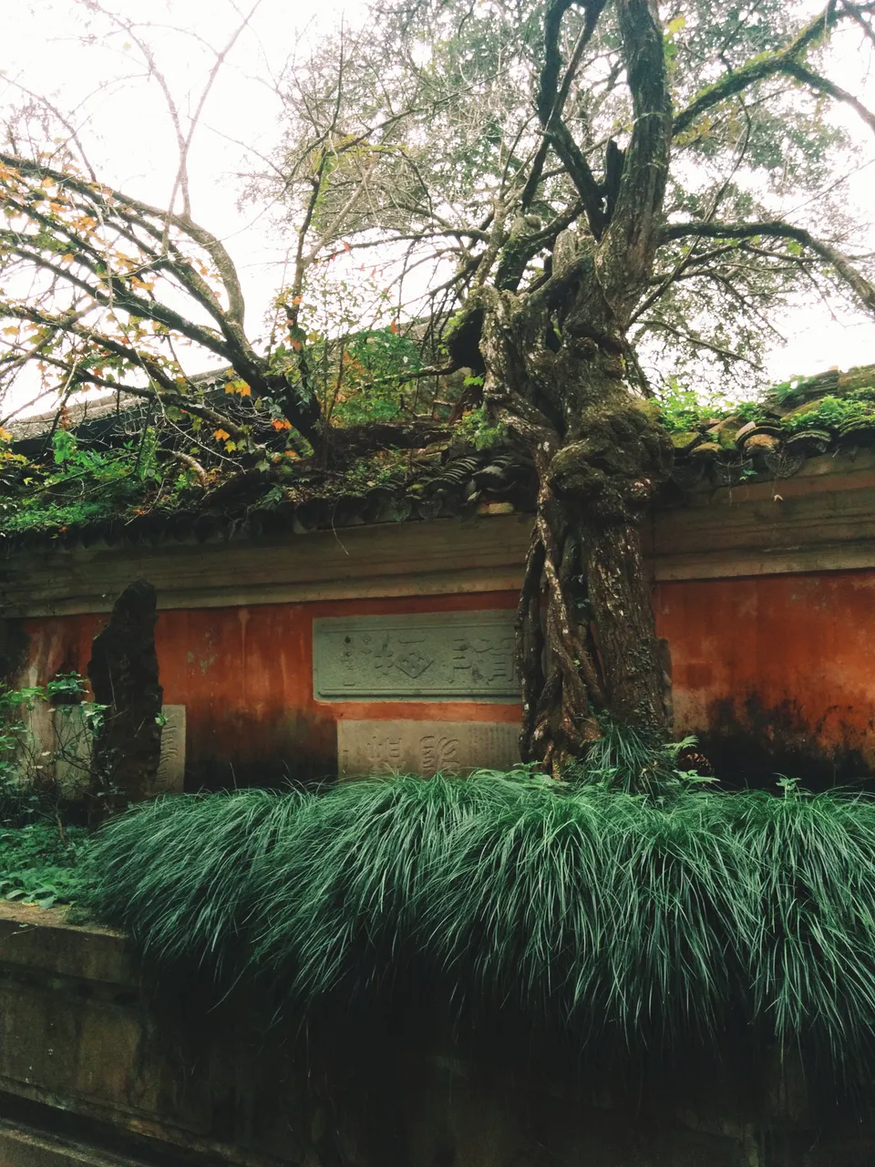 On-site photo 3 of Guo Qing Si