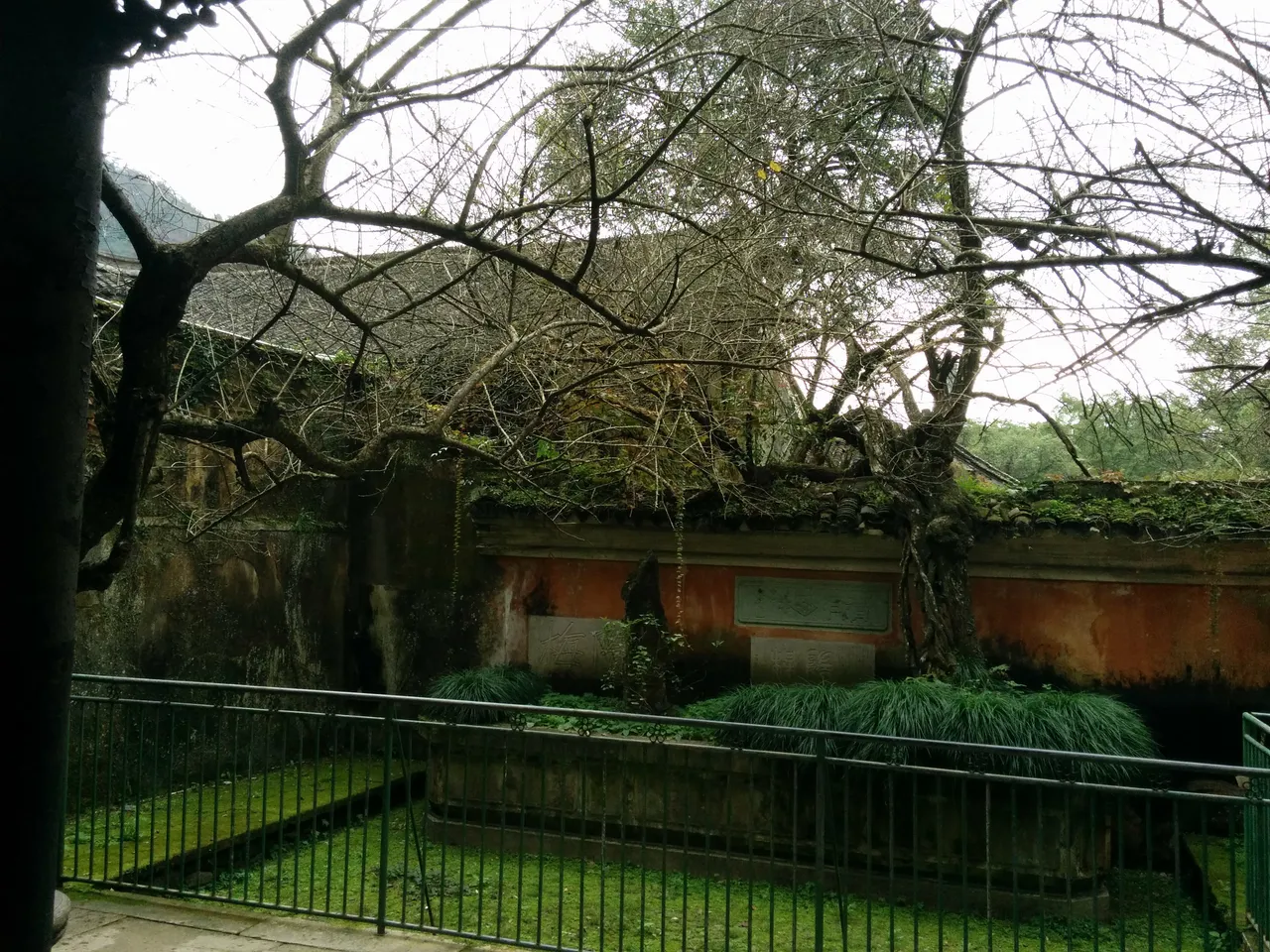 On-site photo 2 of Guo Qing Si