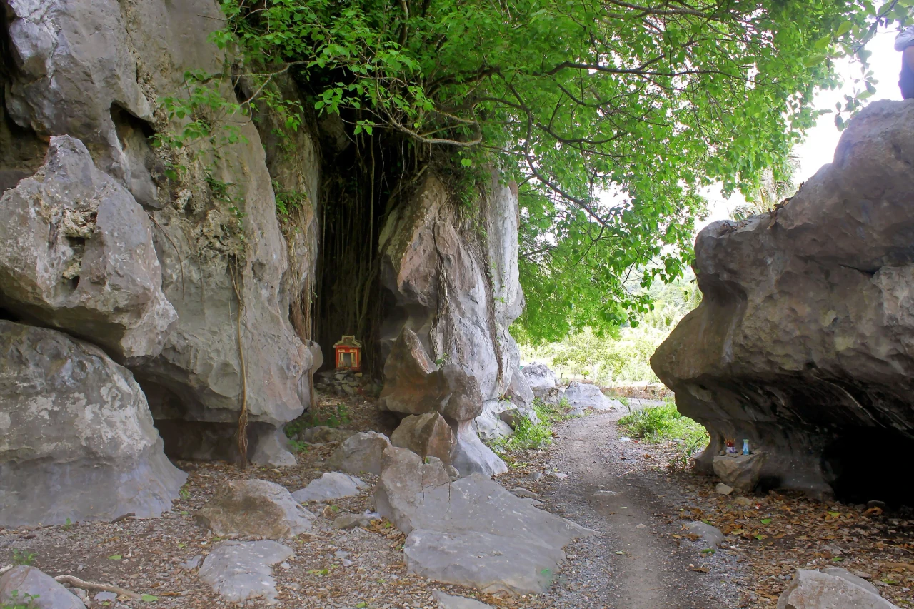 东湖磨山景区现场照片 2