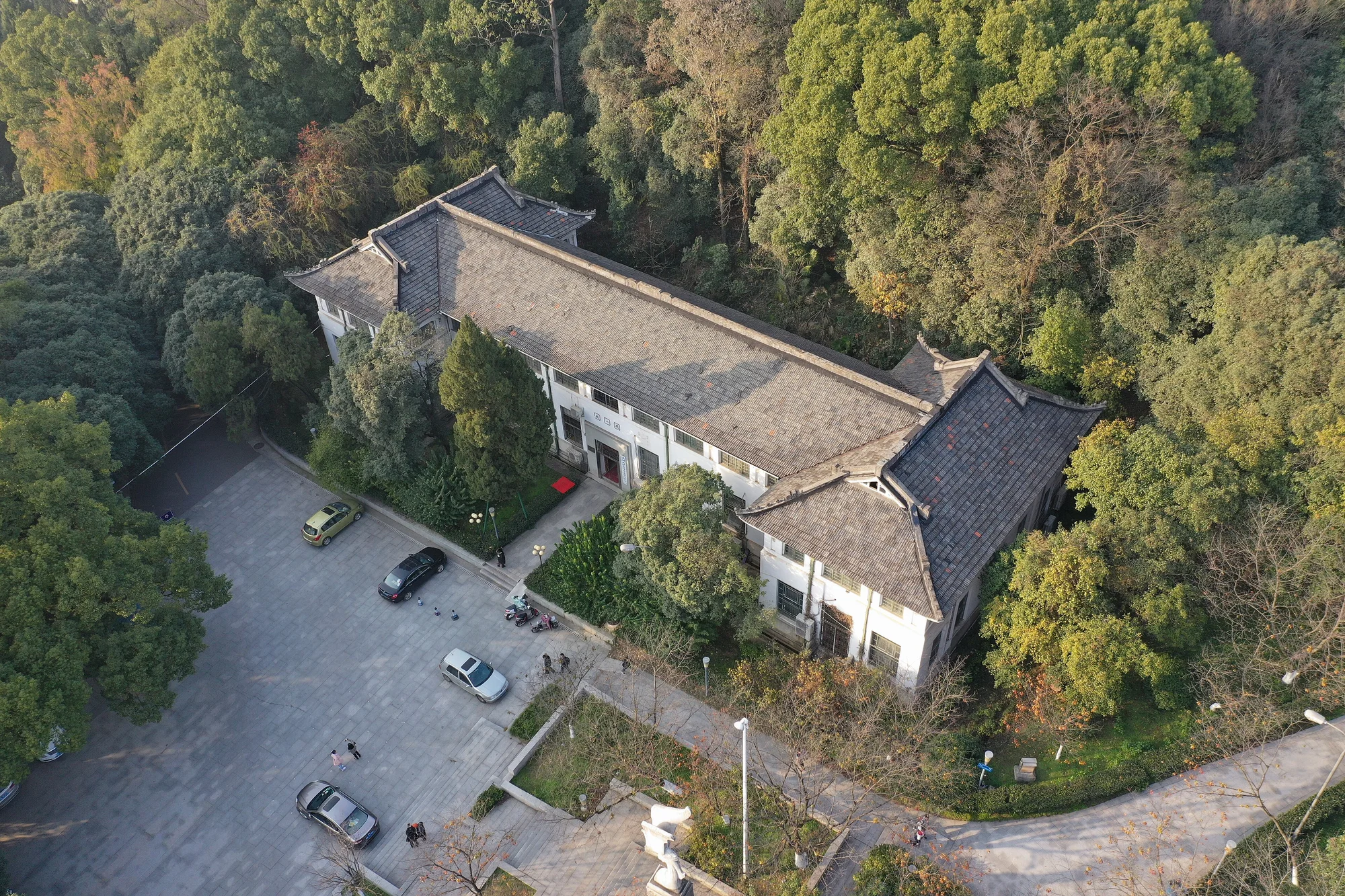 武汉大学现场照片 7