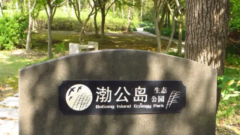 渤公岛现场照片 2