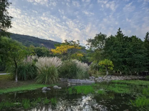 On-site photo 2 of Zhang Guang Xi Shi Di Park