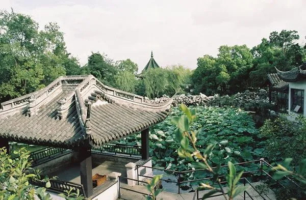 蠡园现场照片 5