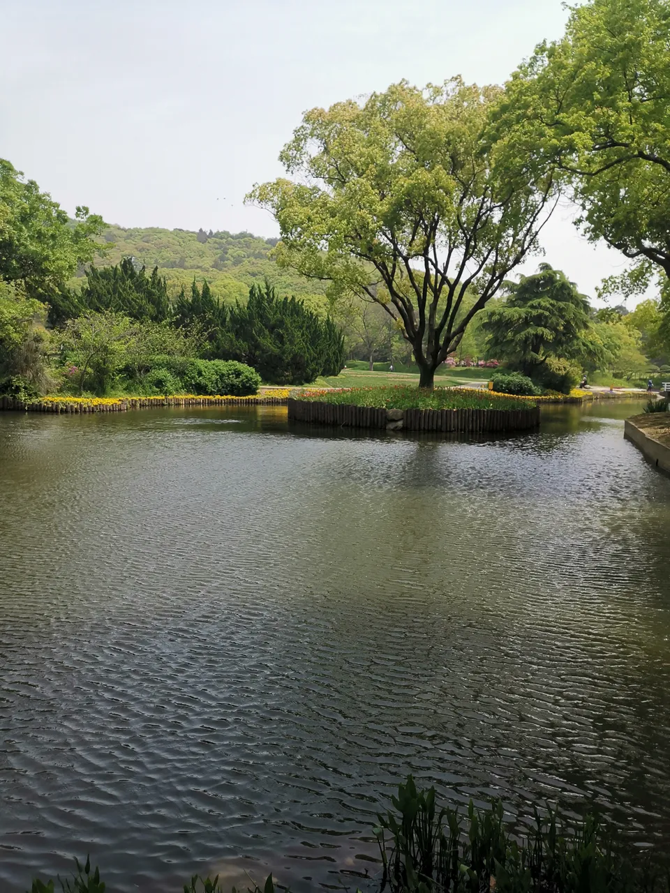On-site photo 5 of Mei Yuan