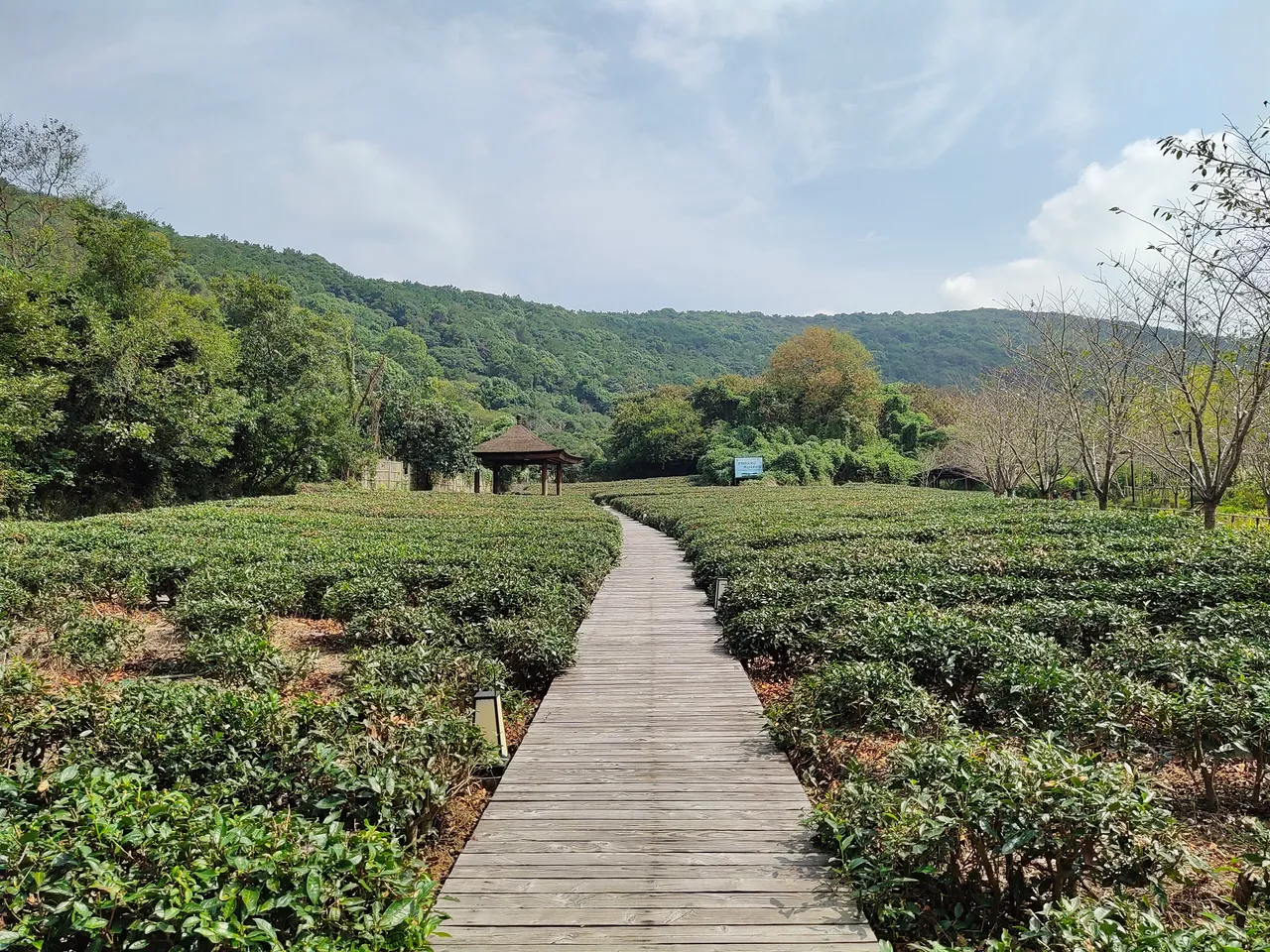 拈花湾现场照片 4