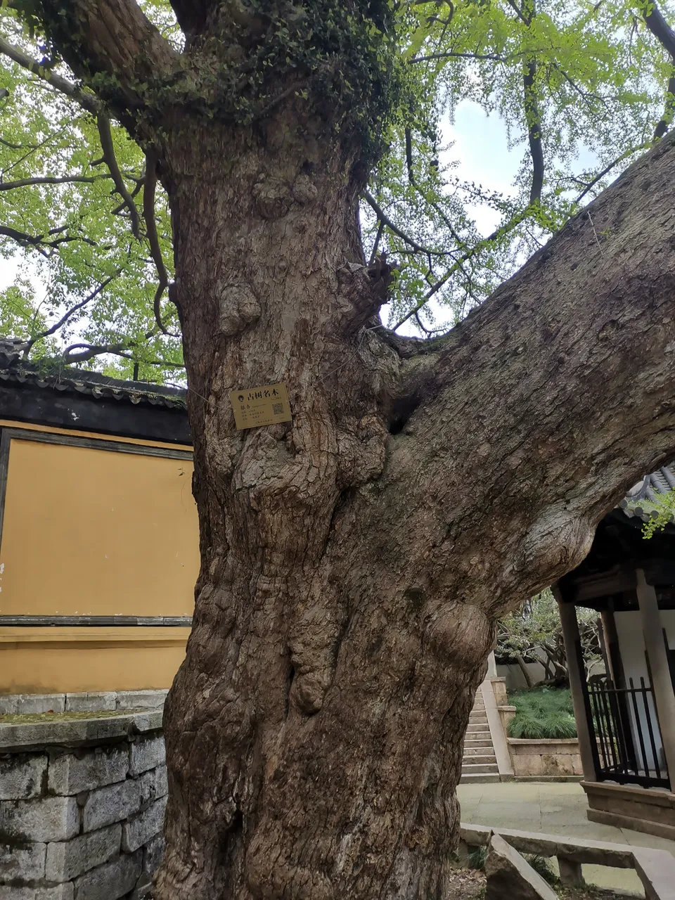 锡惠公园现场照片 5