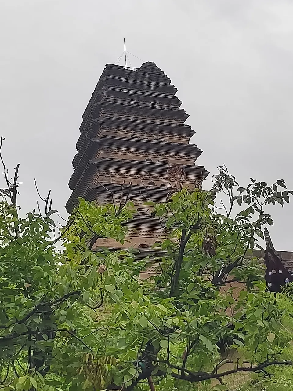 On-site photo 3 of 西安博物院