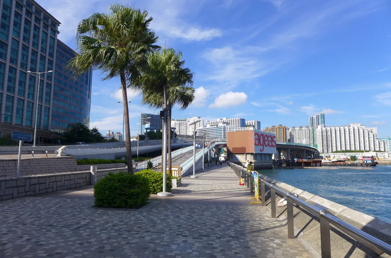 尖沙咀海滨花园现场照片 2