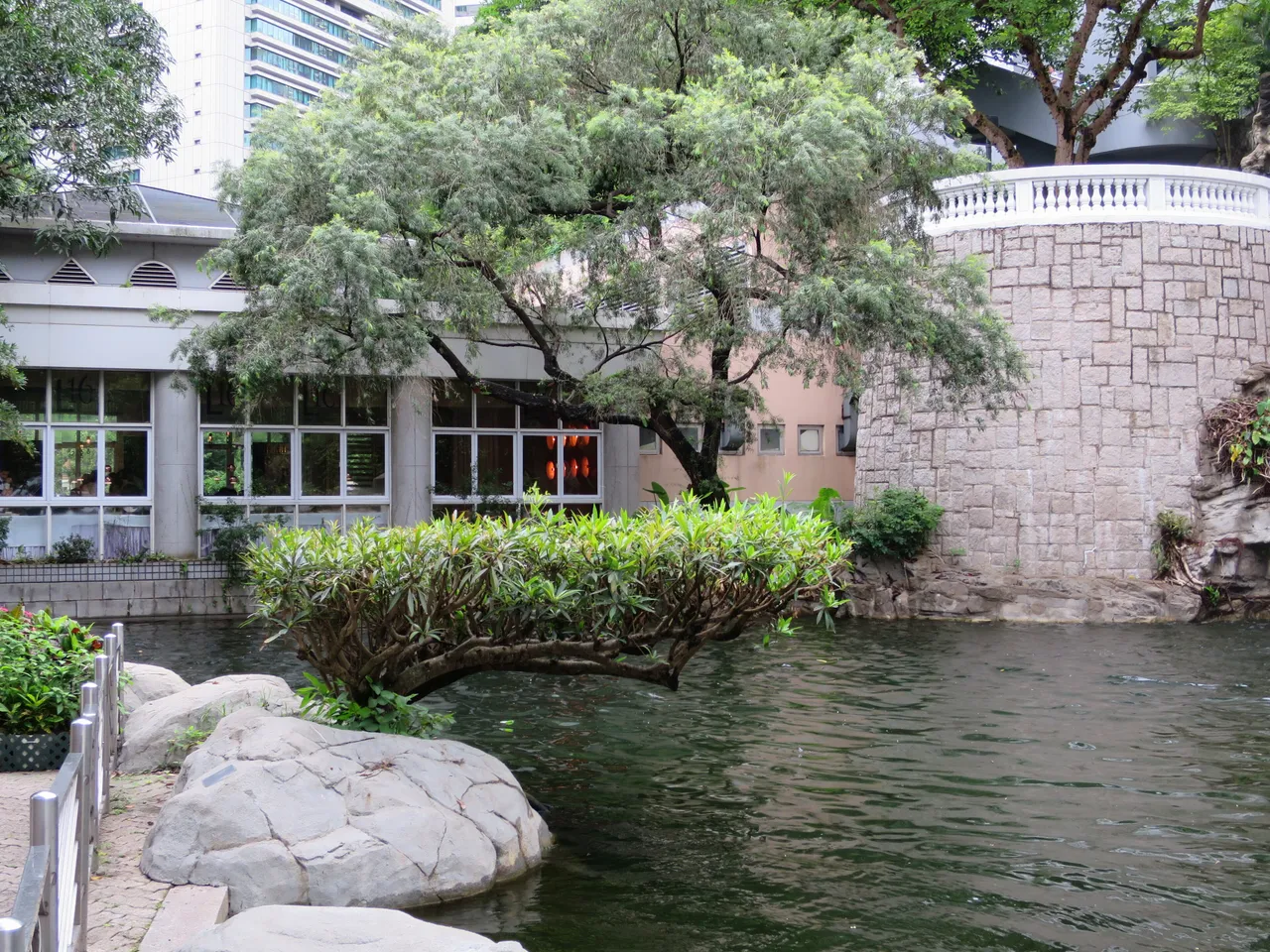 香港公园现场照片 8