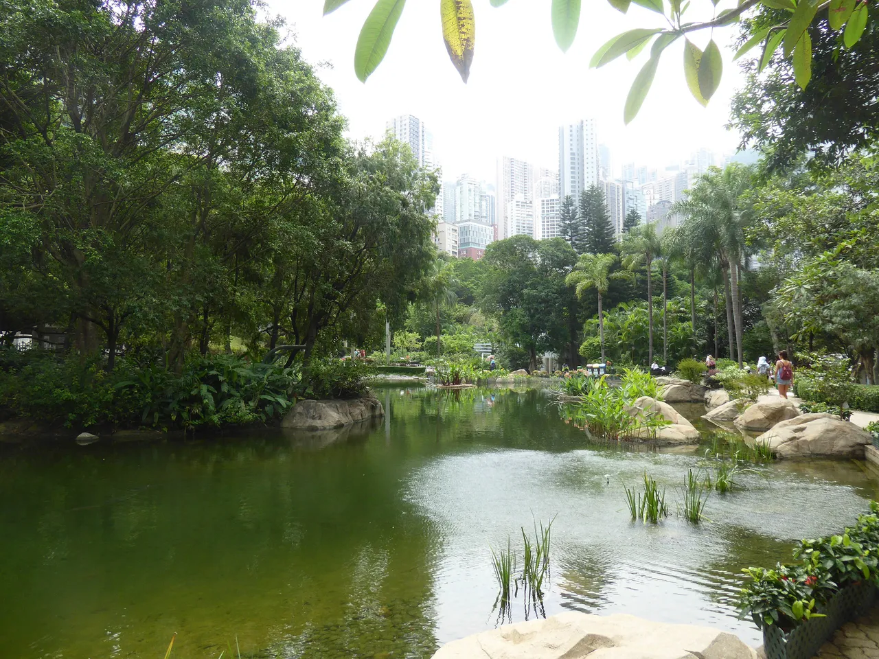 香港公园现场照片 7