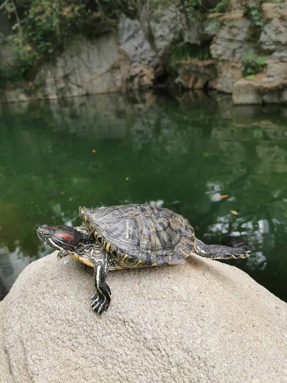 香港公园现场照片 5