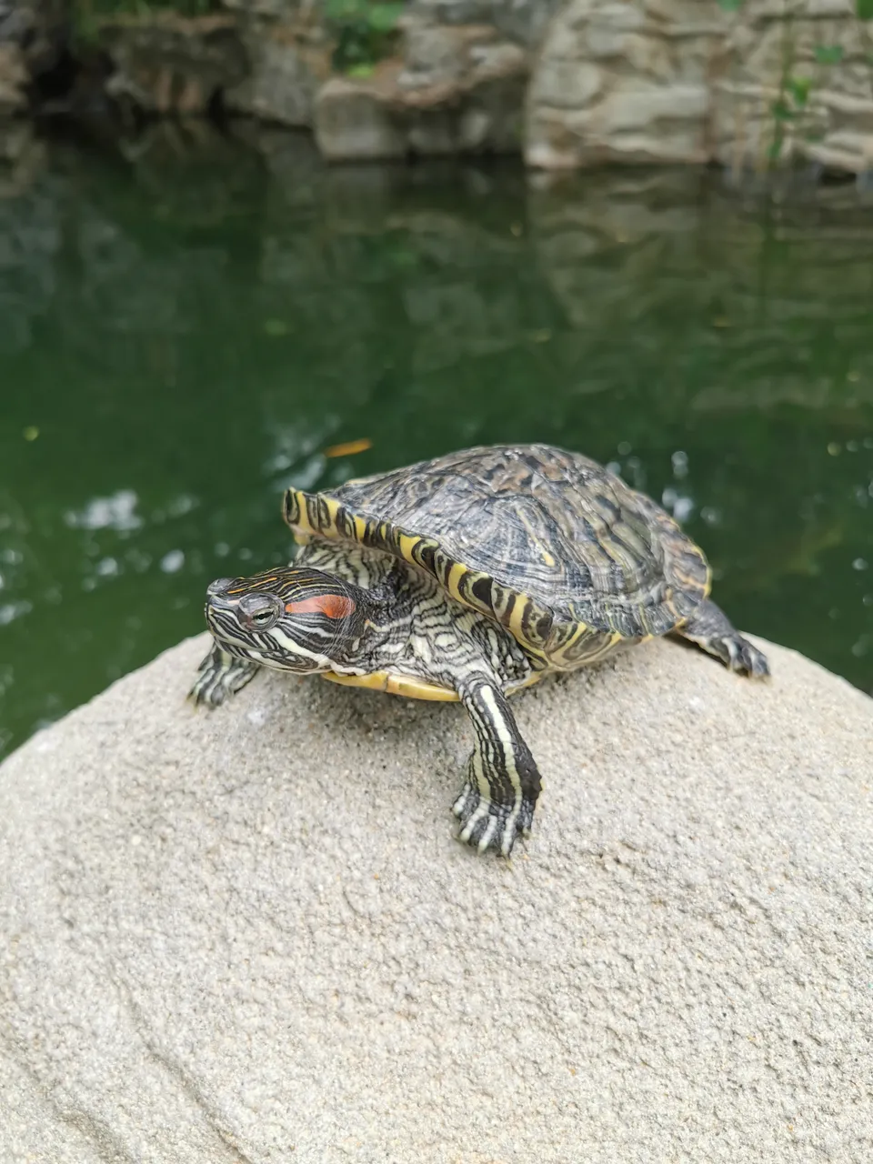 香港公园现场照片 2