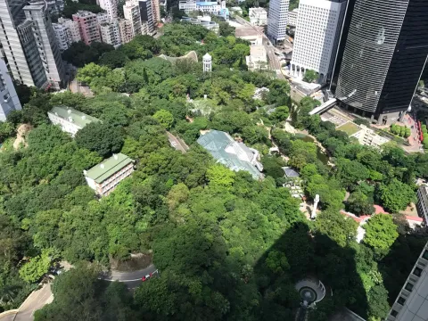 香港公园现场照片 10