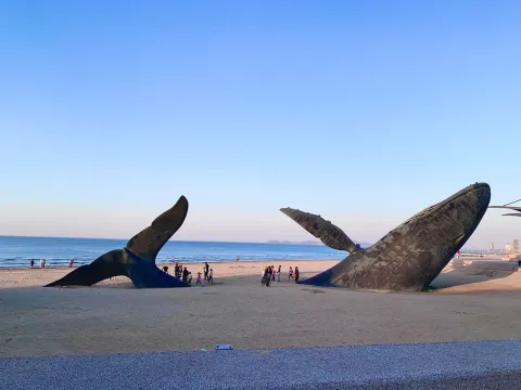 金沙滩海滨公园现场照片 2