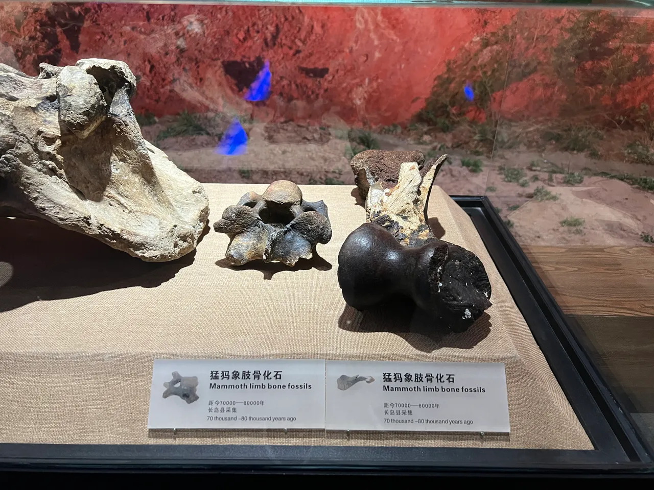 On-site photo 8 of Yan Tai Shi Museum