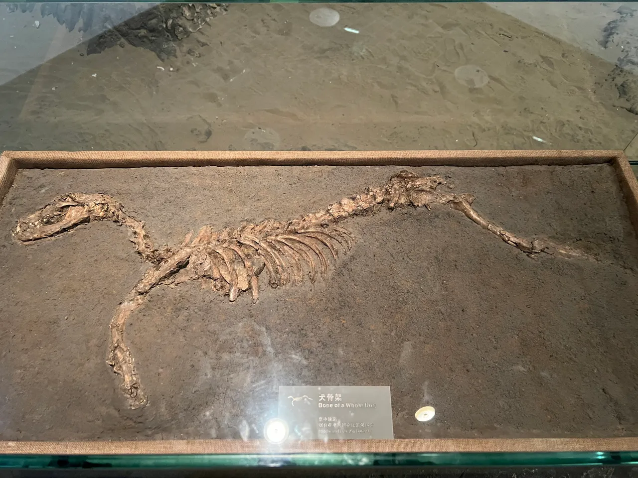 On-site photo 6 of Yan Tai Shi Museum